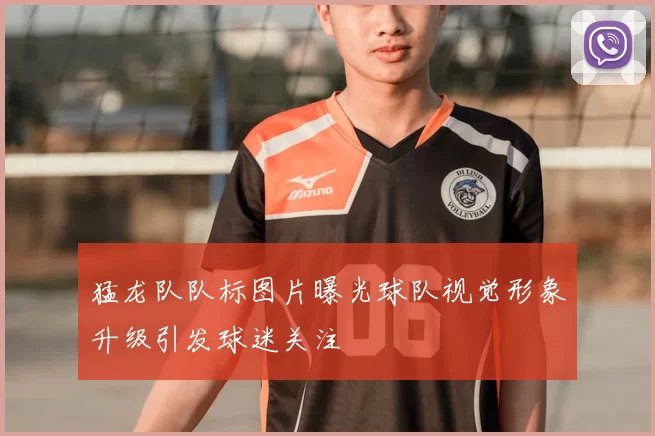 猛龙队队标图片曝光球队视觉形象升级引发球迷关注