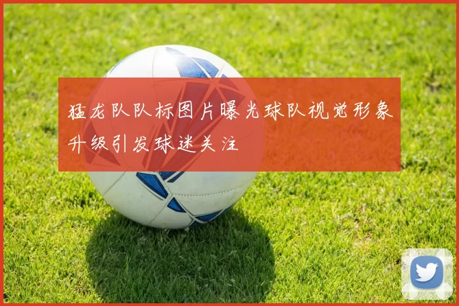 猛龙队队标图片曝光球队视觉形象升级引发球迷关注