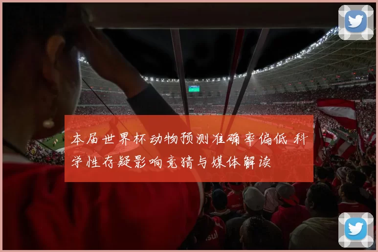 本届世界杯动物预测准确率偏低 科学性存疑影响竞猜与媒体解读