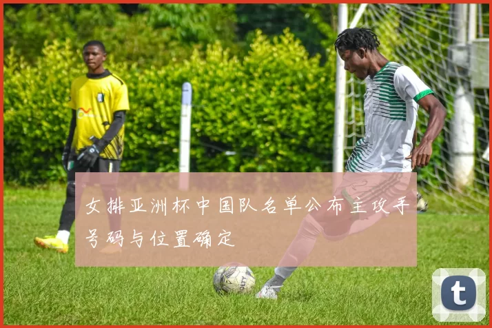 女排亚洲杯中国队名单公布主攻手号码与位置确定